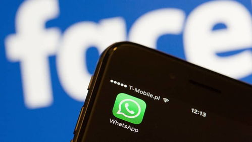 whatsapp查人,揭秘社交巨头如何改变我们的沟通方式
