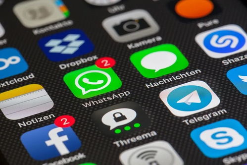whatsapp被拉黑发消息什么样,WhatsApp被拉黑后消息显示及应对策略