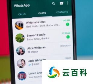 whatsapp 在线,高效营销利器与合规使用指南