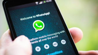 whatsapp 怎么做监控,高效策略与合规指南