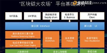 区块链农场,探索智慧农场的未来图景