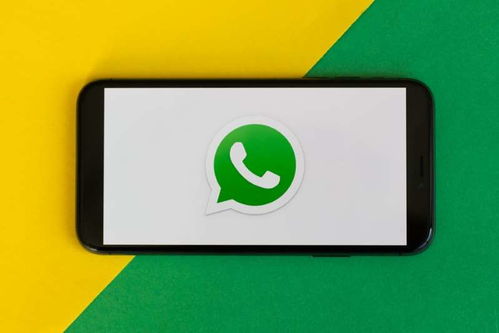 whatsapp 安卓更新之后还是要更新,功能增强与兼容性调整概览