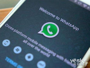 whatsapp画中画,创意沟通新方式概述