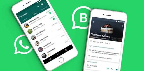 whatsapp国内如何使用,WhatsApp国内使用攻略全解析