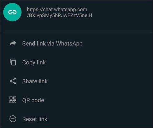 whatsapp 网站链接,功能、特色与使用指南一览