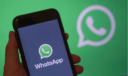 whatsapp安卓不能用吗,WhatsApp安卓版使用指南及常见问题解答