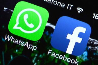 whatsapp接单如何收款,高效便捷的跨境交易流程解析