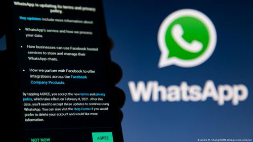 WhatsApp海外粉,打造高效国际客户拓展之路