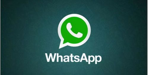 whatsapp 国外的软件类似于微信,与微信相似功能解析