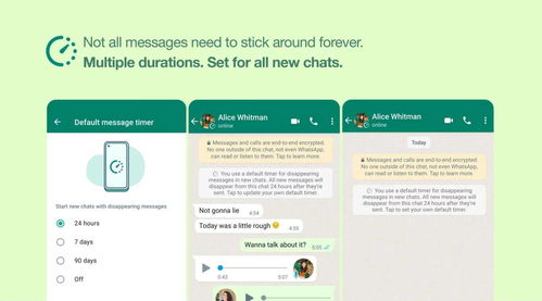 whatsapp发动态只能24小时吗,24小时效应下的客户互动策略