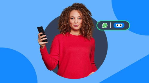 whatsapp随机,社交巨头背后的秘密与挑战”
