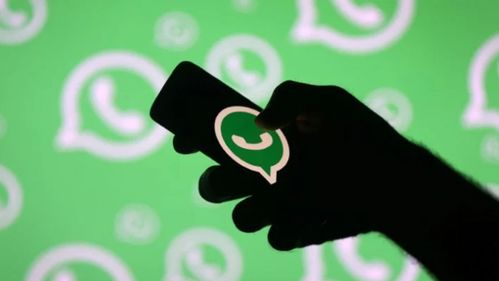 whatsapp显示两个对号,WhatsApp双帐户使用攻略揭秘