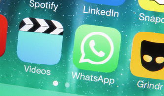 whatsapp伦敦,揭秘全球即时通讯巨头的发展历程与未来展望