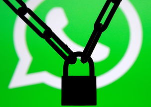 whatsapp 禁止使用,原因、影响及应对策略