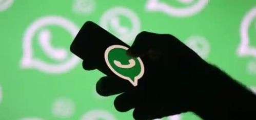 whatsapp打视频要收钱吗,WhatsApp视频通话是否收费概述