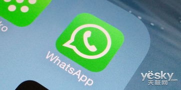 whatsapp被封锁新闻,107人被捕抗议行动后续