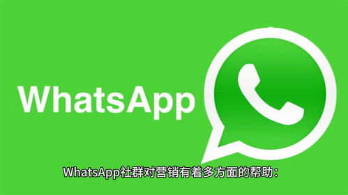 whatsapp会被人屏蔽吗,如何识别和应对被屏蔽的情况