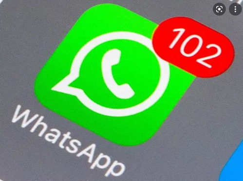 whatsapp加,探索其功能与影响