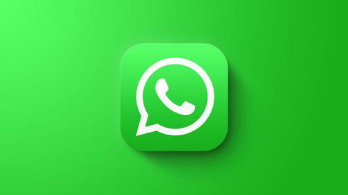 whatsapp安卓如何拉群组,WhatsApp安卓版拉群组操作指南