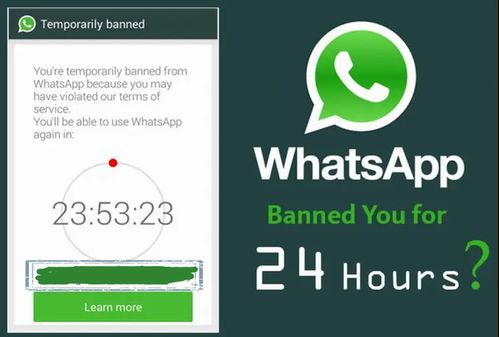 whatsapp解封邮箱回复,高效申诉指南