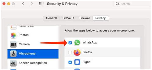whatsapp 通话能录音吗,了解如何进行及注意事项