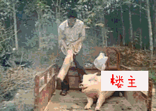 whatsapp不能发送gif,WhatsApp无法发送GIF？教你轻松制作和转换GIF动图！