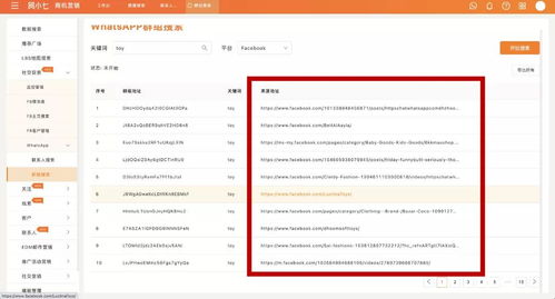 whatsapp开发者哪里人,他们的生活轨迹与创业故事