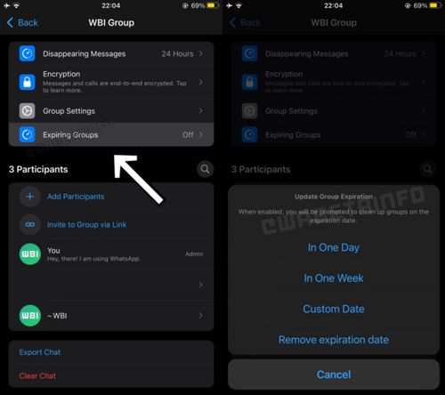 whatsapp解散,管理员操作指南”