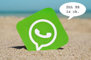 whatsapp 2016,端到端加密的先驱与社交通讯的崛起之路