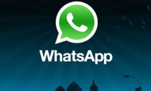 whatsapp ios下载收费,揭秘免费与付费版本差异及使用技巧
