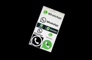 whatsapp 动态 已读,已读功能背后的秘密与影响