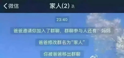 whatsapp被踢出群聊,WhatsApp群聊中被踢出的经历与反思