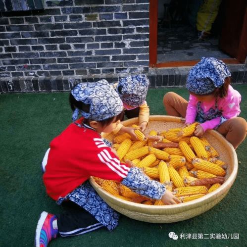 最强弹一弹小游戏 