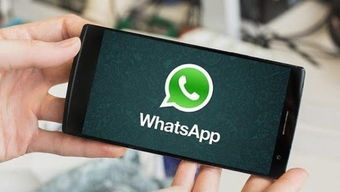 whatsapp 如果被删了,如何恢复联系与数据概述