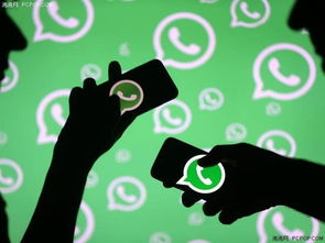 whatsapp不能视频吗,WhatsApp视频通话功能介绍