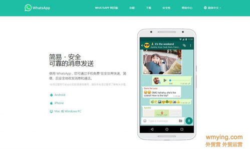 whatsapp 动态功能,提升客户互动体验