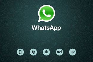 whatsapp第一年收费标准,了解最新收费标准与计费规则