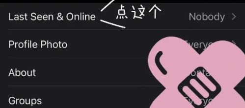 whatsapp online什么意思,轻松掌握网页版WhatsApp操作与技巧