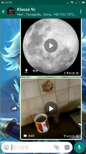 whatsapp传不了视频,揭秘无法传输视频的神秘原因