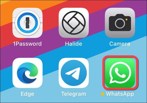 whatsapp 隐身,掌握隐私保护新技能