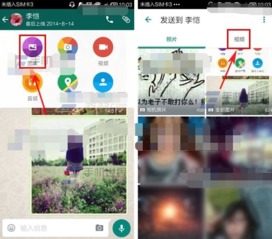 whatsapp传送垃圾信息,警惕垃圾信息发送导致账号被封禁
