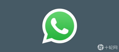 whatsapp 个人资料,提升引流效果
