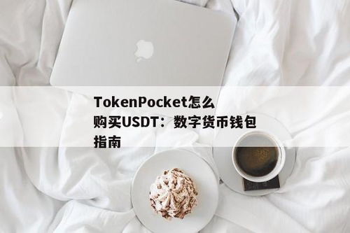 usdt是什么币钱包下载地址,钱包下载指南与安全使用秘籍