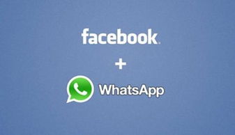 whatsapp的上线时间,隐私设置与实用技巧全解析
