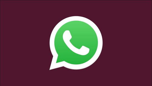 whatsapp从苹果转到安卓,轻松实现苹果到安卓的账号迁移与使用