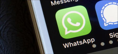 whatsapp共享群,跨境电商拓展海外市场的秘密武器