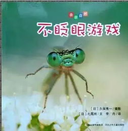泡泡大作战游戏手机游戏 