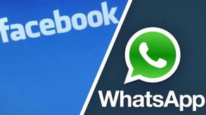 whatsapp借别人用可以吗,合法界限与社交礼仪探讨