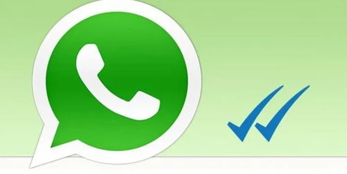 whatsapp marketing,助力业务增长