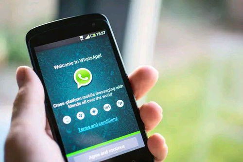 whatsapp的安全程度,揭秘其安全防护与隐私保护机制